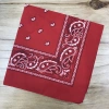 Square scarves, street stall export version, all-polyester amoeba red headscarf, cashew flower outdoor large handkerchief, handkerchief, sports sweat-absorbing headscarf, square scarf 55CM export version details Picture